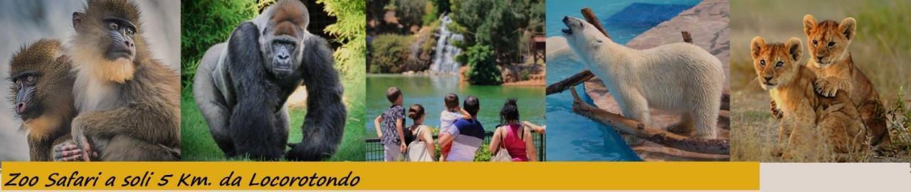 Do Pruinc Villa Locorotondo Dış mekan fotoğraf